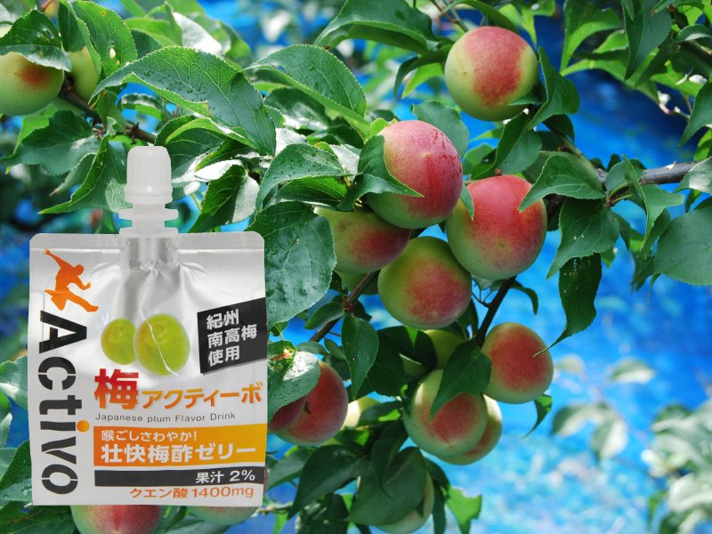 梅アクティーボ